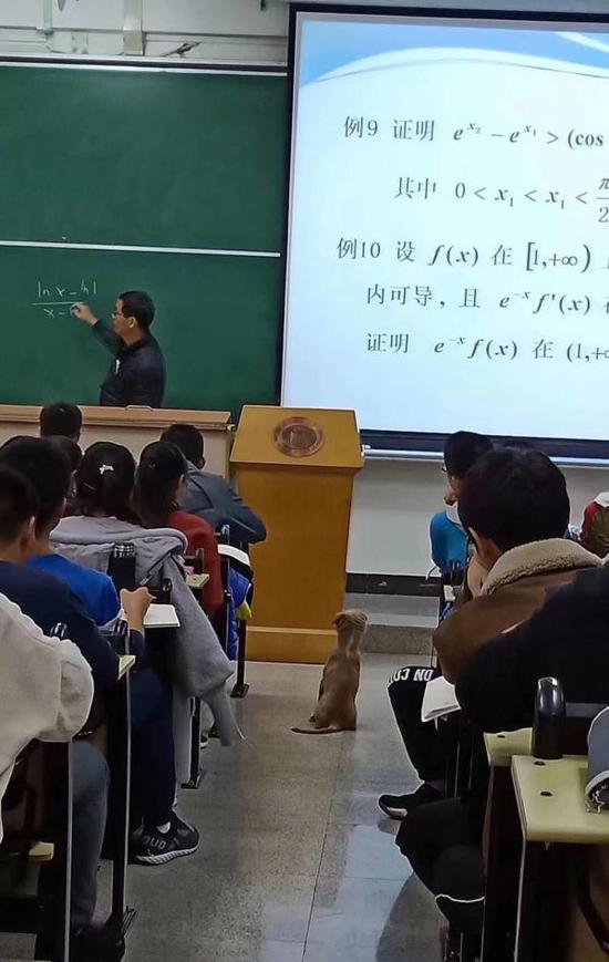 华中科技大学“西十二学霸狗”
