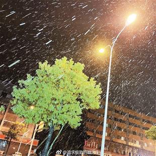 图为：昨日凌晨武汉飘落鹅毛大雪网友“追求极致的晶大王”供图