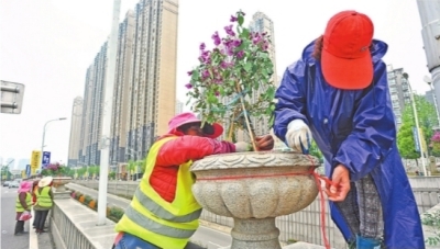 园林工人正在用鲜花扮靓“汉马”赛道记者苗剑 摄