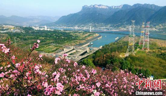 三峡大坝旅游区繁华盛开（资料图）　邓立中　摄