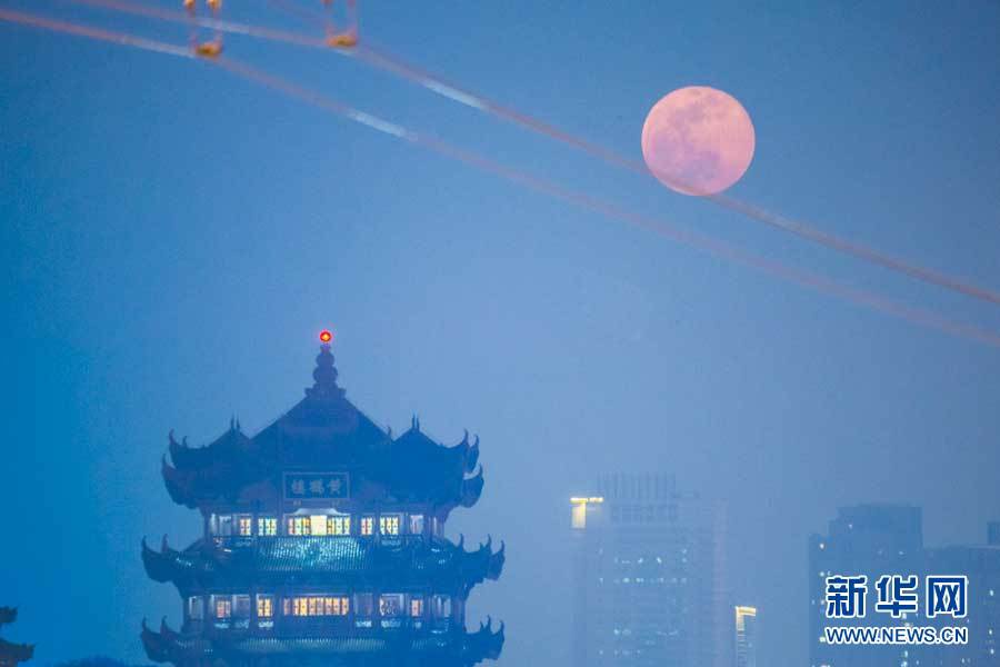 圖為“超級月亮”現(xiàn)身武漢夜空。新華網(wǎng)發(fā) 趙廣亮攝