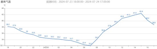 武汉蔡甸新庙站点逐小时最高气温实况