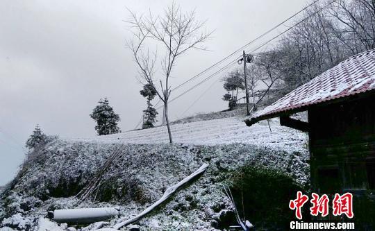 牛庄“清明时节雪纷纷”　熊大福　摄