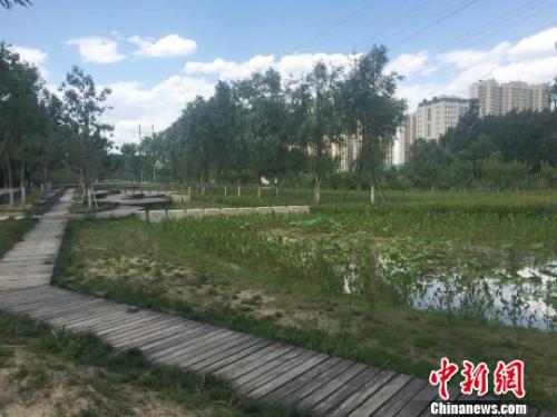 资料图：在北京市大兴区，曾经的黑臭水体永兴河（新城段）整治完成，建成绵延4公里的永兴河湿地公园。　陈建 摄