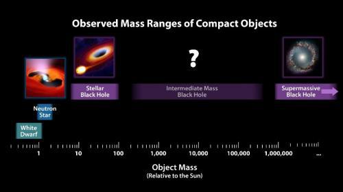 致密天体根据质量的分类，图片来源：NASA