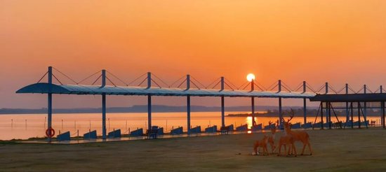 龙湾半岛景区/景区供图