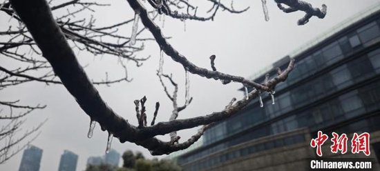 2月3日，湖北武汉出现低温雨雪冰冻天气。郑子颜摄