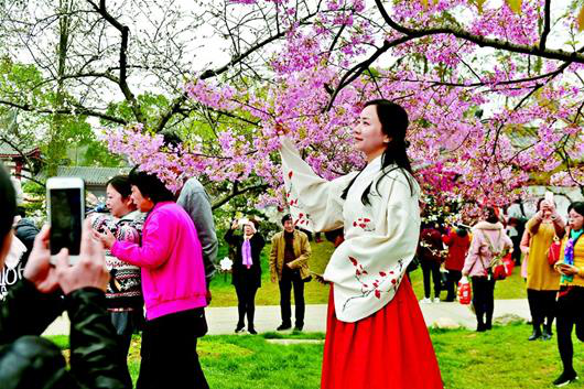 观赏游览武汉大学樱花的游客 图片来源 楚天都市报