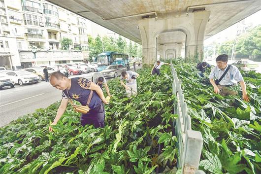 图为:童师傅的同事帮着寻找车钥匙