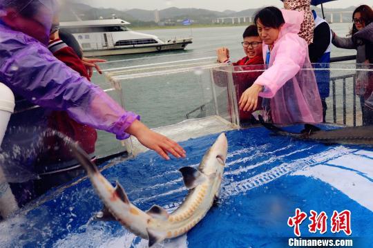 全國各地志愿者和學(xué)生代表近1000人參加了活動 黃余洋 攝