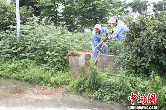 技术人员用沙土对地面硫酸进行堵截处理，防止造成次生灾害污染 张敏 摄