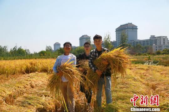 学生品尝丰收喜悦 陈冲 摄