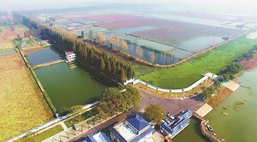 图为:返湾湖国家湿地公园水乡田园美如画