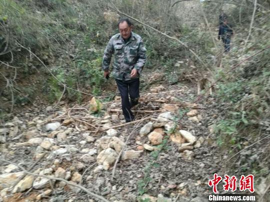 覃远奉行进在山区扶贫路上 覃世灿 摄