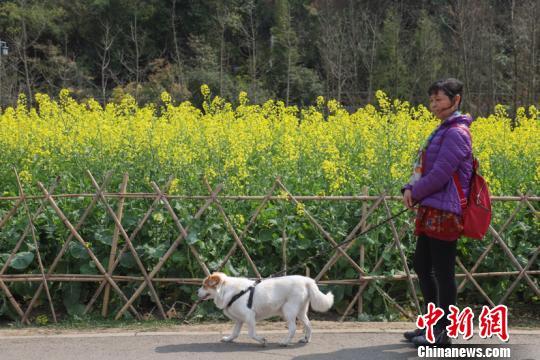 資料圖 瞿宏倫 攝