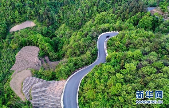 图为湖北省恩施市新塘乡校场坝村的公路蜿蜒曲折，宛若一条玉带镶嵌在林海之中。新华网发 张远明摄