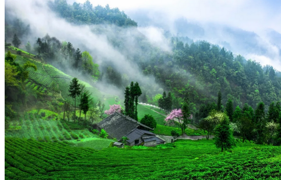 浙江省跨省职工疗休养首发团将赴恩施