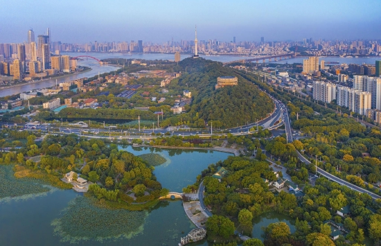 武汉月湖风景区  邹幼勤