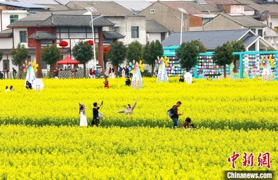 游客在油菜花海中游玩拍照。张畅 摄