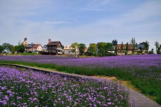 花博汇带丝巾就可以免门票啦!