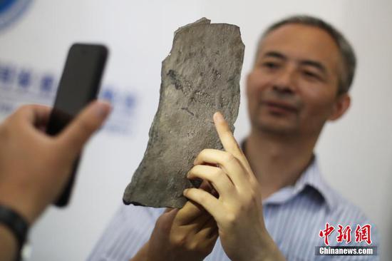 中国科学院南京地质古生物研究所研究员陈哲展示地球已知最古老动物足迹化石。中新社记者 泱波 摄