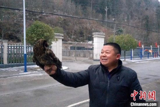 救助人员将灰林鸮放归大自然 张国锋 摄