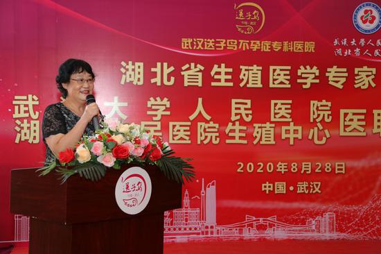 湖北省生殖医学专家联盟委员会主任委员、武汉大学人民医院妇产科主任杨菁教授发表讲话