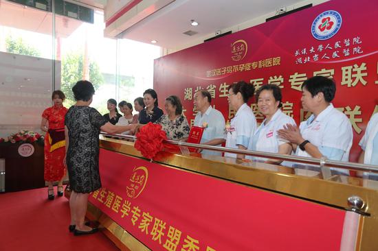 湖北省生殖医学专家联盟委员会主任委员杨菁给委员颁发聘书