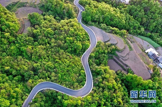 图为湖北省恩施市新塘乡校场坝村的公路蜿蜒曲折，宛若一条玉带镶嵌在林海之中。新华网发 张远明摄