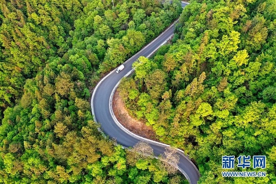 图为湖北省恩施市新塘乡校场坝村的公路蜿蜒曲折，宛若一条玉带镶嵌在林海之中。新华网发 张远明摄