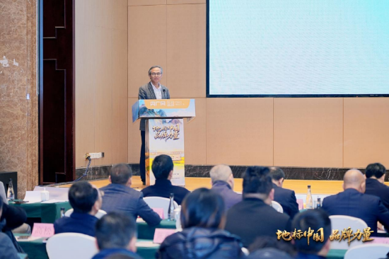 与会专家发表主旨演讲（主办方供图）