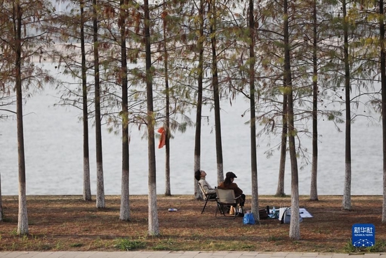 11月8日，市民在武汉市青山江滩休闲。新华社记者 姚琪琳 摄