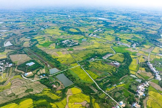 圖為2023年9月27日拍攝的湖北天門石家河遺址（無人機照片）。新華社記者 肖藝九 攝
