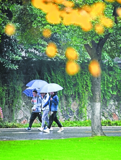 中南民族大学校园内雨中出行的学生 记者李子云 摄