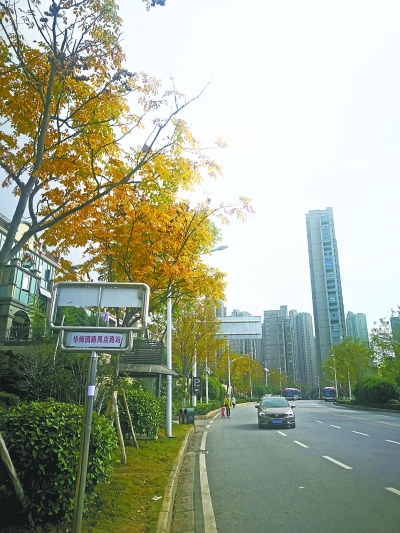 公交车因噪音及停车问题遭投诉 811路首发站迁