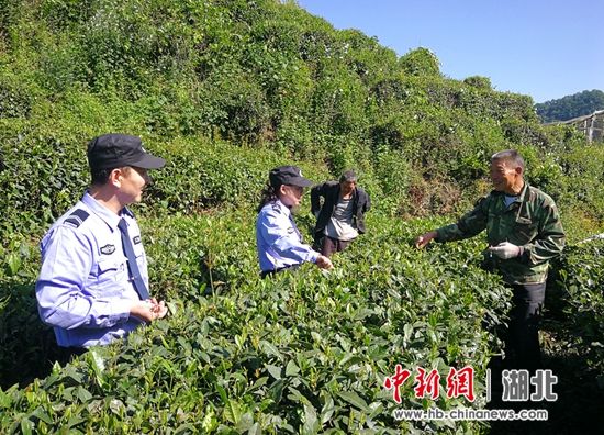 民警到茶山走访调查