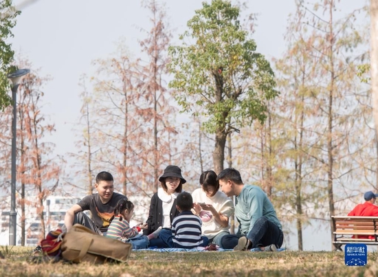 11月7日，市民在武汉市青山江滩休闲。新华社记者 伍志尊 摄