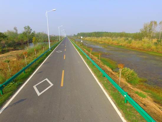 新洲区辛冲街四好农村路示范路(万米石渠景观路)。靖苍松摄