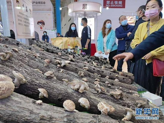 图为2021湖北·随州国际香菇产业博览会现场