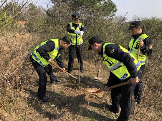 黄陂城管基层中队纷纷参加义务植树活动