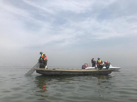 湖泊养护人员正在水面清理水葫芦、拆除渔民私设地笼残网 黄师师摄