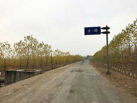 空曠寂靜堤壩，蘿卜地就在下方。 除署名外，本文圖片均由澎湃新聞記者 沈文迪 圖