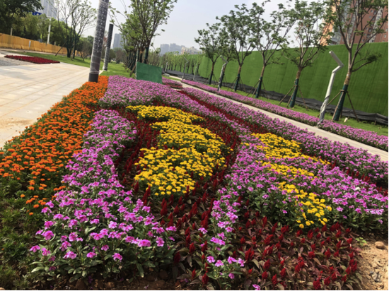 武昌区已完工的街头公园——罗家港游园前后对比照
