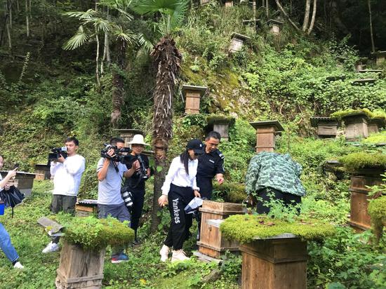 神农架|全省50余名媒体人打卡神农架 感受“凉”资源释放“热”能量