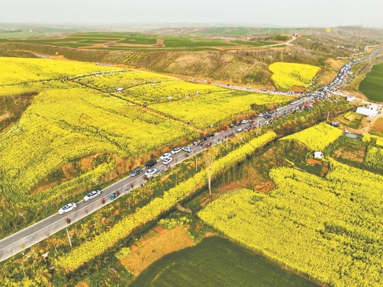 游客在樊城“一号公路”旁的油菜花海中游玩。