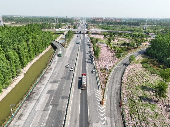 沿路花海