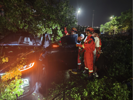 鄂州市消防员在鄂州市鄂城区莲花山神州租车门店附近救援被树木压住的车辆。