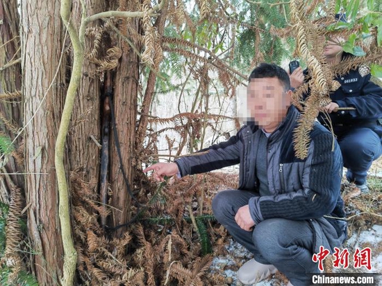 犯罪嫌疑人平时将猎枪藏在树干中 兴山县公安局 供图