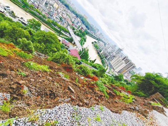 山体滑坡坍塌现场。(舞阳坝街道办事处供图)