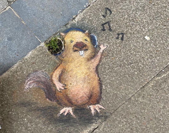 武汉街头动物涂鸦萌趣可爱